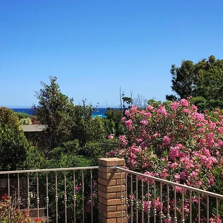 Il Fico Di Mare - 100m From The *