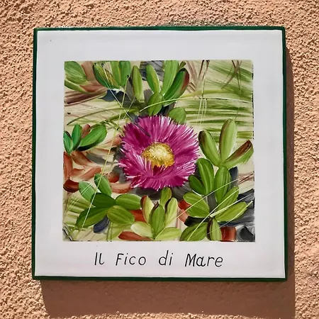 Il Fico Di Mare - 100m From The * 키아